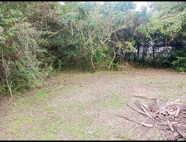FARM FOR SALE IN RAMSGATE